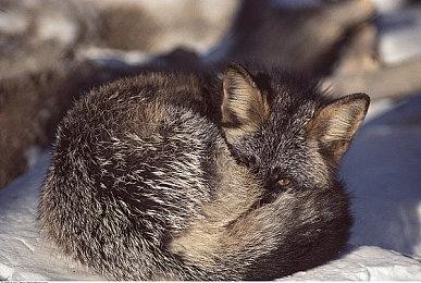 《沙丘：觉醒》终局内容引不满 开发商承诺全面调整PVP平衡性